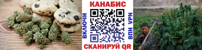 продажа наркотиков  Руза  Еда ТГК марихуана 