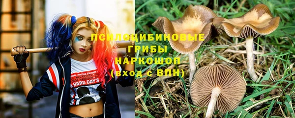 apvp Арсеньев
