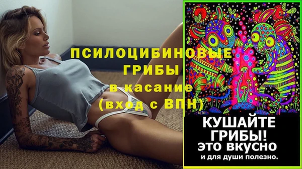 apvp Арсеньев