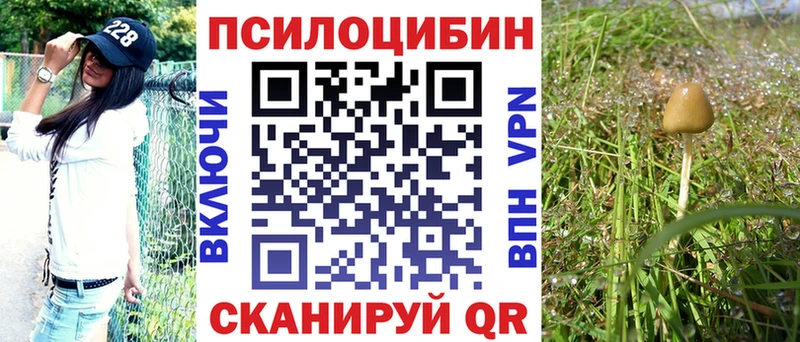 Галлюциногенные грибы Psilocybe Руза