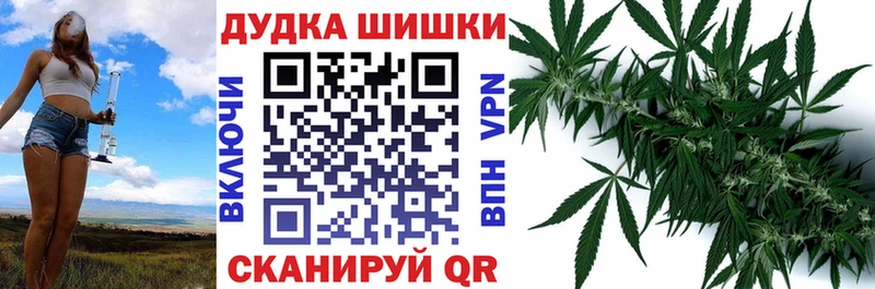 где продают наркотики  Руза  Шишки марихуана план 